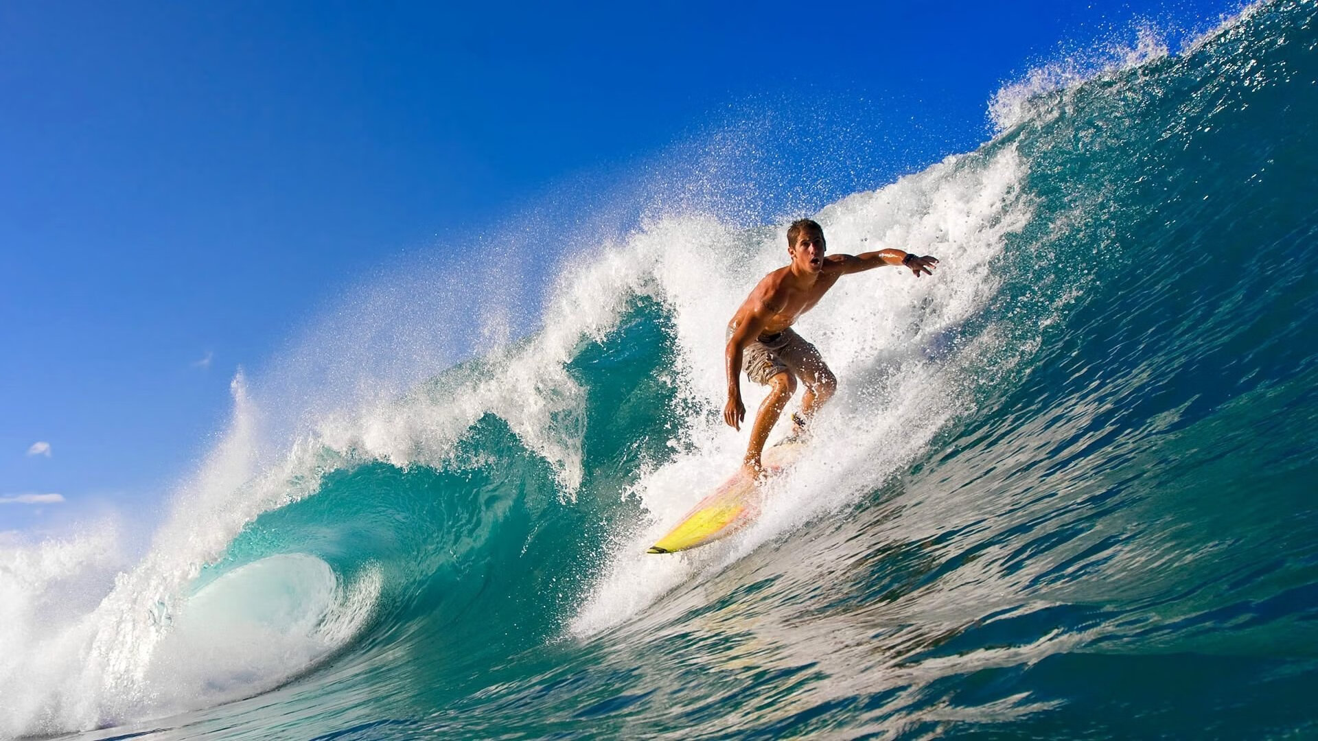 “马丁·高尔西：阿根廷美洲狮队的盯防专家”