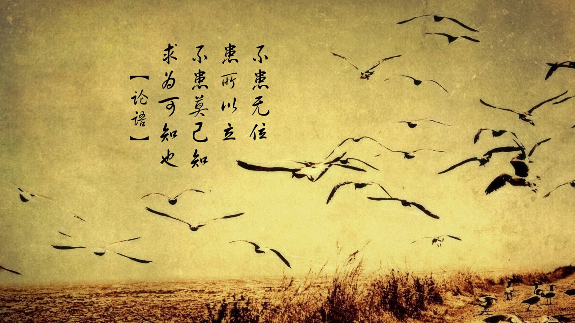 开云体育登录网站入口-“青春铁军”全国青少年篮协志愿者服务队在全国多地立功，助推青训事业